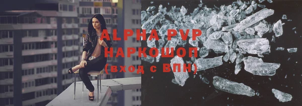 сатива Кукмор