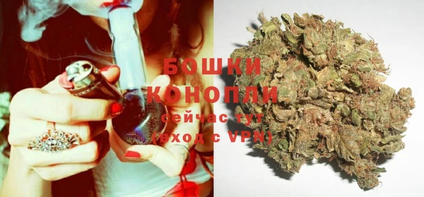 сатива Кукмор