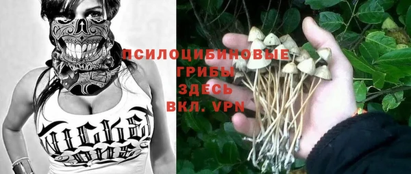 сатива Кукмор